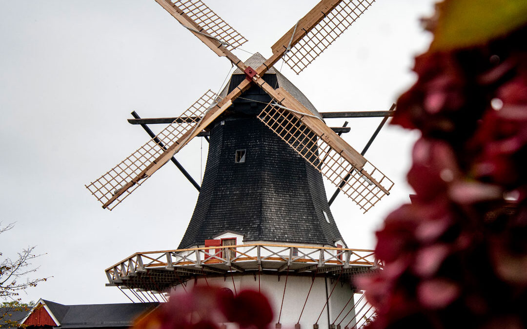 Besøg Højer Mølle
